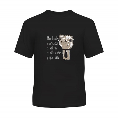 Pánské tričko - Moudrost nepřichází s